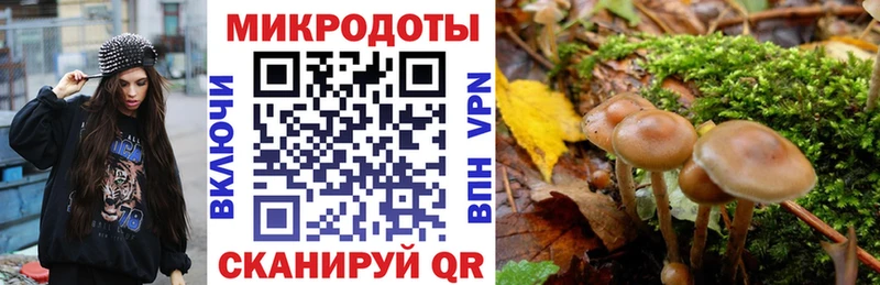 Галлюциногенные грибы мицелий наркота MEGA рабочий сайт Слободской