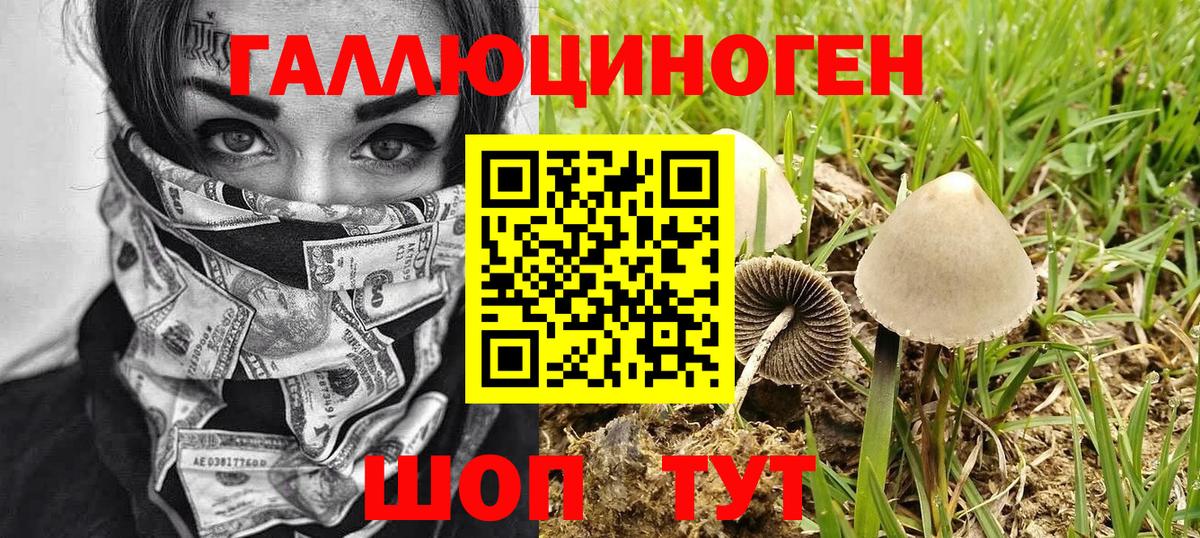 Псилоцибиновые грибы мицелий Слободской